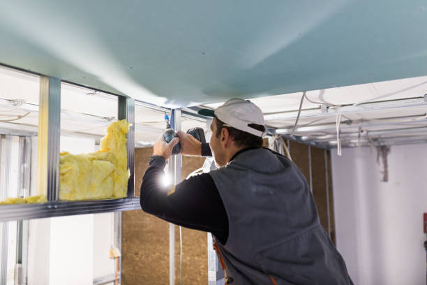 Best Insulation Replacement Services  in Youngstown, NY