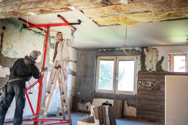 Best Insulation Repair Services  in Youngstown, NY