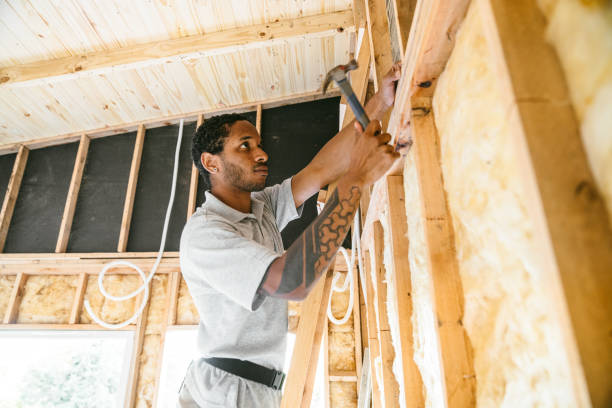 Best Cellulose Insulation  in Youngstown, NY