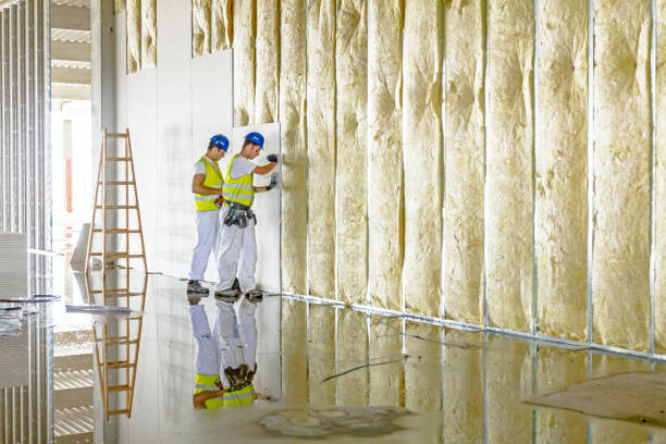 Insulation Inspection Services in Youngstown, NY